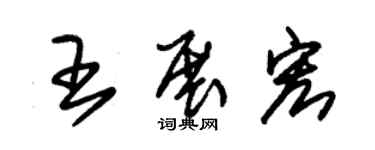 朱錫榮王展宏草書個性簽名怎么寫