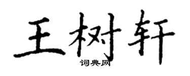 丁謙王樹軒楷書個性簽名怎么寫