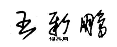 朱錫榮王新鵬草書個性簽名怎么寫