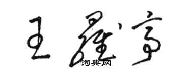 駱恆光王羅亭草書個性簽名怎么寫