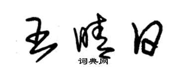 朱錫榮王晴日草書個性簽名怎么寫