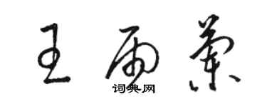 駱恆光王雨蘭草書個性簽名怎么寫