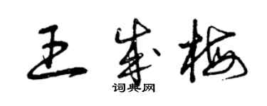 曾慶福王成梅草書個性簽名怎么寫