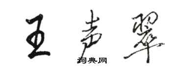 駱恆光王聲翠行書個性簽名怎么寫