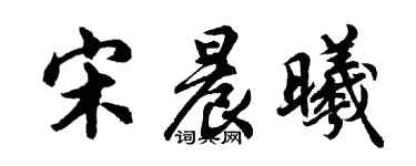 胡問遂宋晨曦行書個性簽名怎么寫