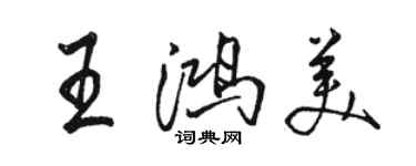 駱恆光王鴻美行書個性簽名怎么寫