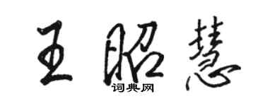 駱恆光王昭慧行書個性簽名怎么寫