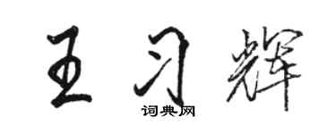 駱恆光王習輝行書個性簽名怎么寫