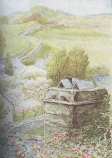 夾心布丁卷（3）