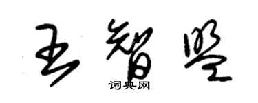 朱錫榮王智盟草書個性簽名怎么寫