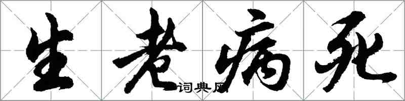 胡問遂生老病死行書怎么寫