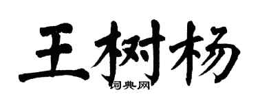 翁闓運王樹楊楷書個性簽名怎么寫