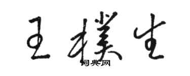 駱恆光王朴生草書個性簽名怎么寫