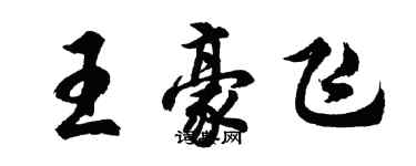 胡問遂王豪飛行書個性簽名怎么寫