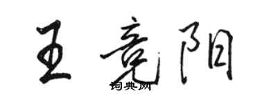 駱恆光王競陽行書個性簽名怎么寫