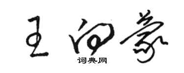 駱恆光王向蒙草書個性簽名怎么寫