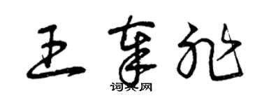 曾慶福王奉非草書個性簽名怎么寫