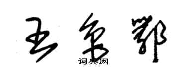 朱錫榮王魯鄂草書個性簽名怎么寫