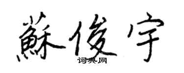 王正良蘇俊宇行書個性簽名怎么寫