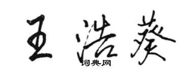 駱恆光王浩葵行書個性簽名怎么寫