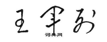 駱恆光王軍列草書個性簽名怎么寫