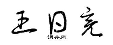 曾慶福王日亮草書個性簽名怎么寫