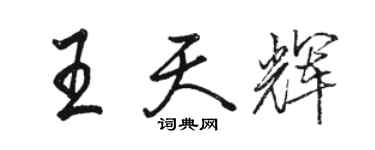 駱恆光王天輝行書個性簽名怎么寫