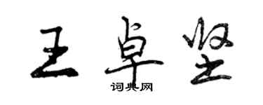 曾慶福王卓堅行書個性簽名怎么寫