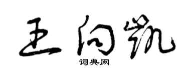 曾慶福王向凱草書個性簽名怎么寫