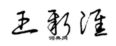 曾慶福王新淮草書個性簽名怎么寫
