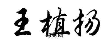 胡問遂王植揚行書個性簽名怎么寫