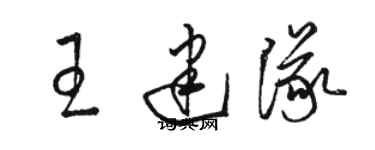 駱恆光王建隊草書個性簽名怎么寫