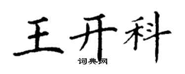 丁謙王開科楷書個性簽名怎么寫