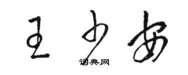 駱恆光王少安草書個性簽名怎么寫