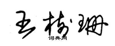 朱錫榮王樹珊草書個性簽名怎么寫