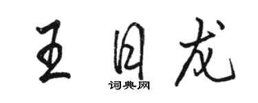 駱恆光王日龍行書個性簽名怎么寫