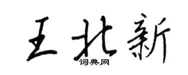 王正良王北新行書個性簽名怎么寫