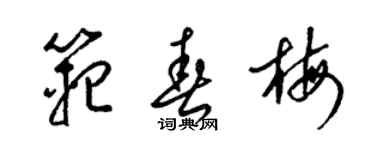 梁錦英范春梅草書個性簽名怎么寫