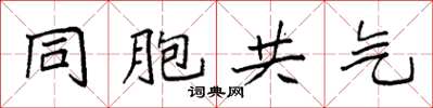 袁強同胞共氣楷書怎么寫