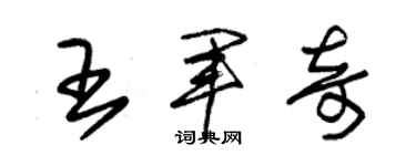 朱錫榮王軍奇草書個性簽名怎么寫
