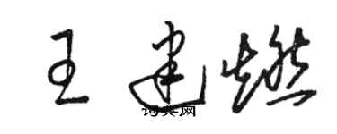 駱恆光王建燃草書個性簽名怎么寫