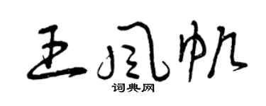 曾慶福王風帆草書個性簽名怎么寫