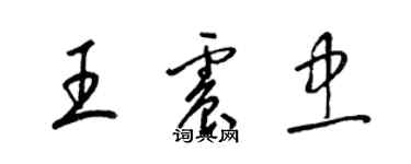 梁錦英王震忠草書個性簽名怎么寫