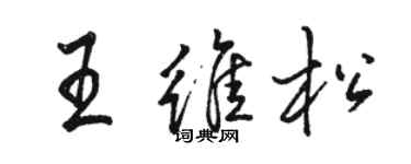 駱恆光王維松行書個性簽名怎么寫