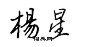 王正良楊星行書個性簽名怎么寫