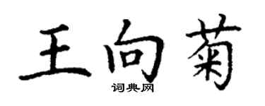 丁謙王向菊楷書個性簽名怎么寫