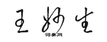 駱恆光王妙生草書個性簽名怎么寫