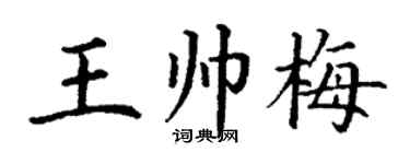 丁謙王帥梅楷書個性簽名怎么寫