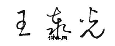 駱恆光王泰光草書個性簽名怎么寫