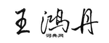 駱恆光王鴻丹行書個性簽名怎么寫